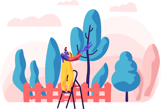 Man working in garden and cutting tree  Illustration