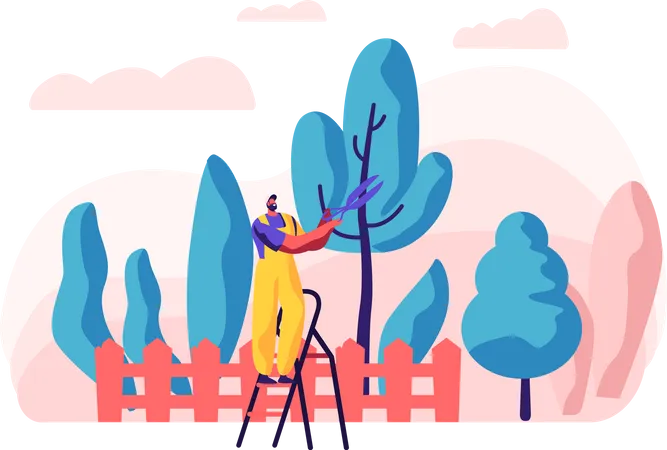 Man working in garden and cutting tree  Illustration