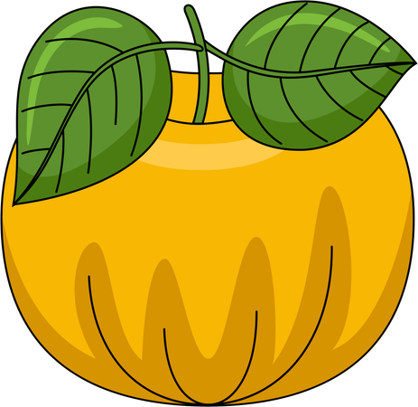 Mandarin orange  Illustration