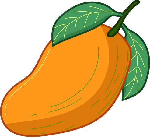 Mango Delight  Illustration