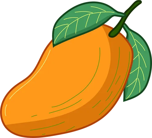 Mango Delight  Illustration