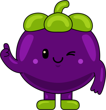 Mangosteen Mascot showing thumbs up  Illustration