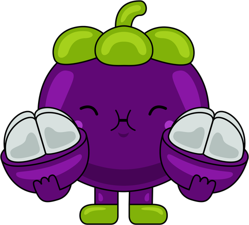 Mangosteen Mascot with Mangosteen  Illustration