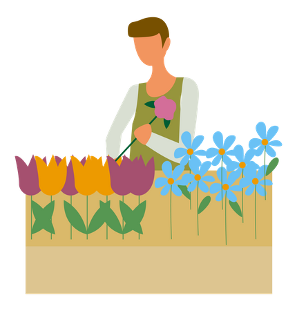 Mann arrangiert Blumen  Illustration
