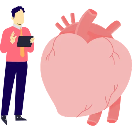 Der Arzt zeigt eine Herzschwellung  Illustration