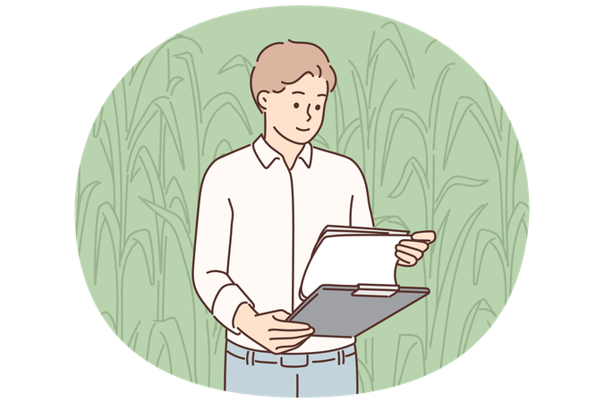 Mann Bauer inspiziert Maiskolben stehen auf dem Feld mit Klemmbrett und arbeiten in der Agrarindustrie  Illustration