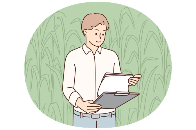 Mann Bauer inspiziert Maiskolben stehen auf dem Feld mit Klemmbrett und arbeiten in der Agrarindustrie  Illustration