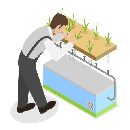 Mann betreibt Hydrokultur-Landwirtschaft  Illustration