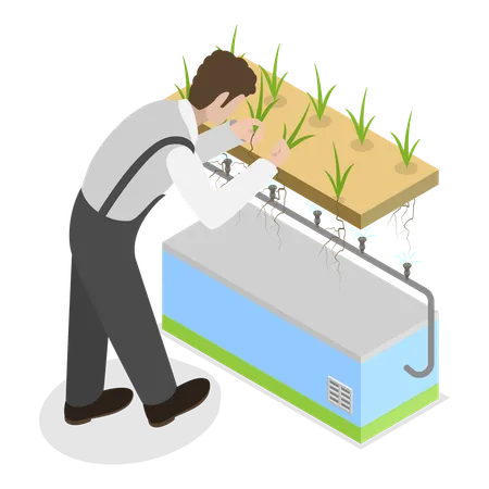 Mann betreibt Hydrokultur-Landwirtschaft  Illustration