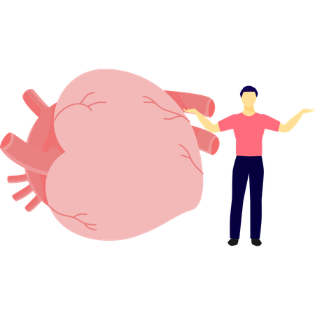 Mann macht Herzuntersuchung  Illustration