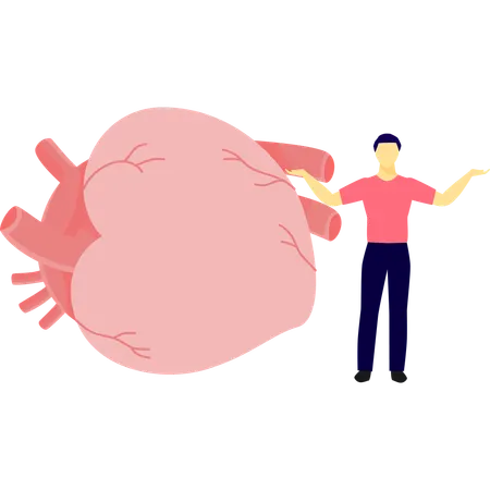 Mann macht Herzuntersuchung  Illustration