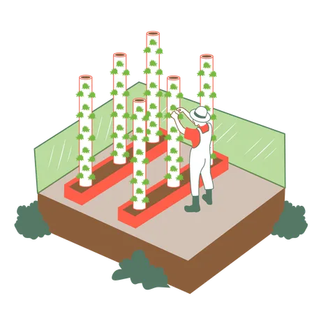 Mann betreibt urbane Landwirtschaft  Illustration