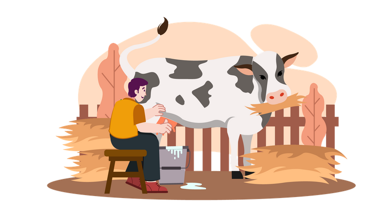 Mann sammelt Milch  Illustration