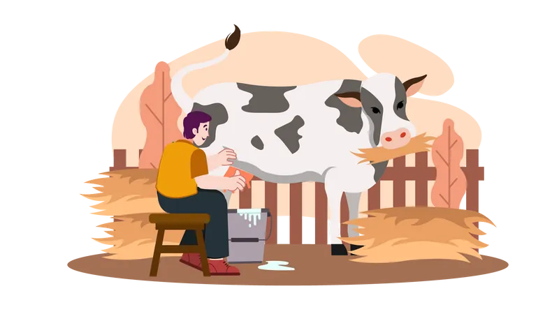 Mann sammelt Milch  Illustration