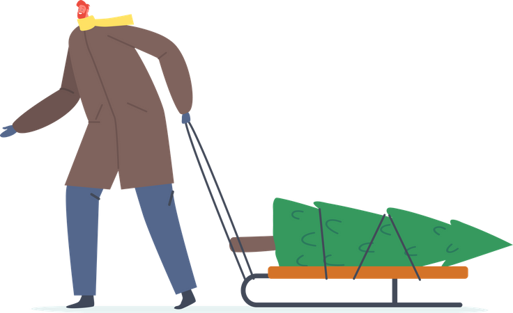 Männer in Winterkleidung ziehen Schlitten mit Weihnachtsbaum  Illustration