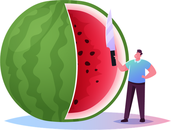 Männer schneiden Wassermelone  Illustration