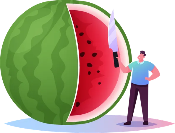 Männer schneiden Wassermelone  Illustration