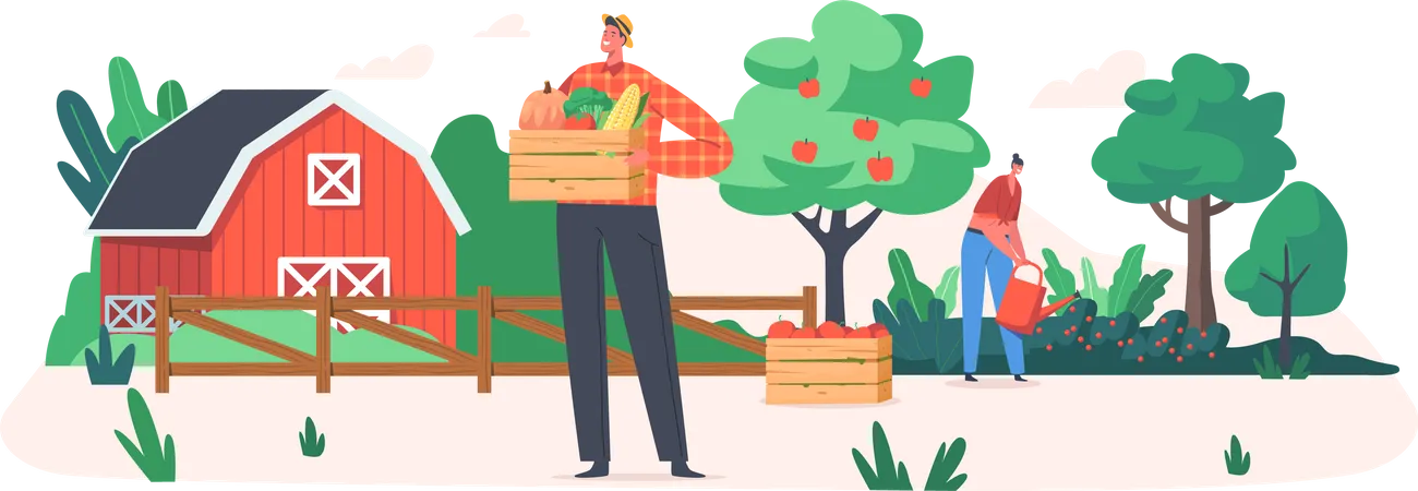 Männlicher Gärtner hält Korb mit frischen Äpfeln  Illustration