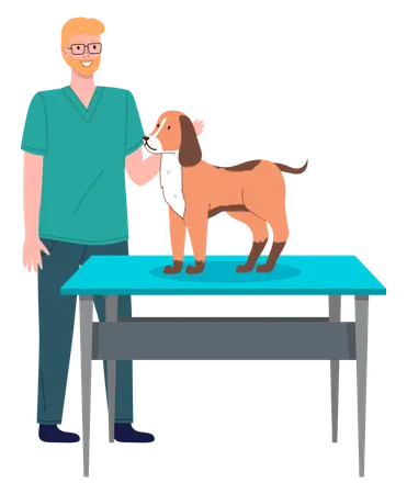 Männlicher Tierarzt behandelt Hund  Illustration