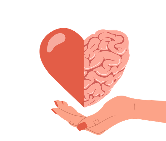 Mano sosteniendo el corazón con el cerebro  Illustration