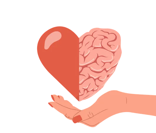 Mano sosteniendo el corazón con el cerebro  Illustration