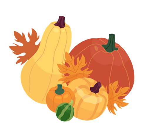 Maple leaves pumpkins  Illustration