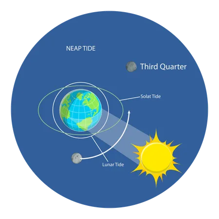 Marées lunaires et solaires  Illustration