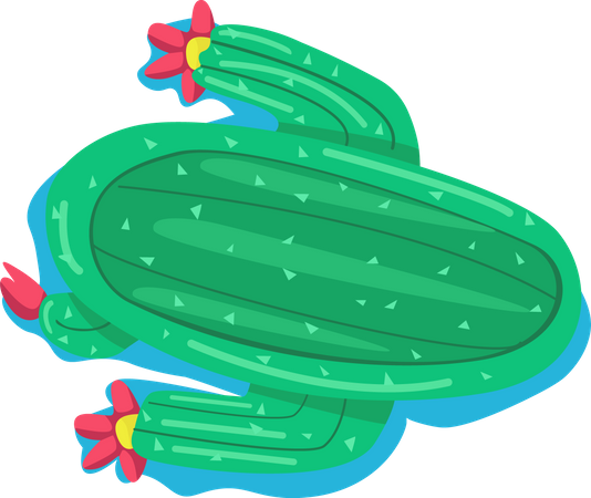 Matelas pneumatique en forme de cactus  Illustration