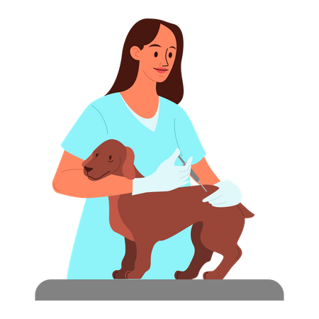 Médecin donnant un vaccin à un chien de compagnie  Illustration