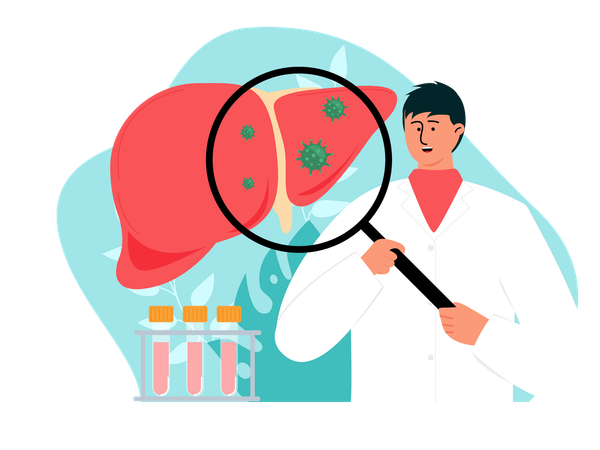 Médecin effectuant un diagnostic du foie Illustration