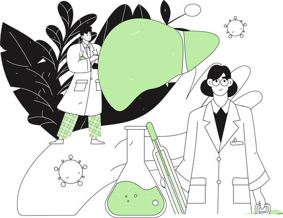 Médecin vérifiant le foie  Illustration