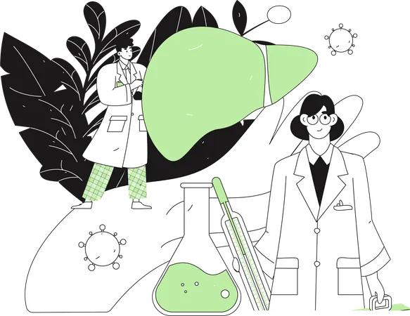 Médecin vérifiant le foie  Illustration
