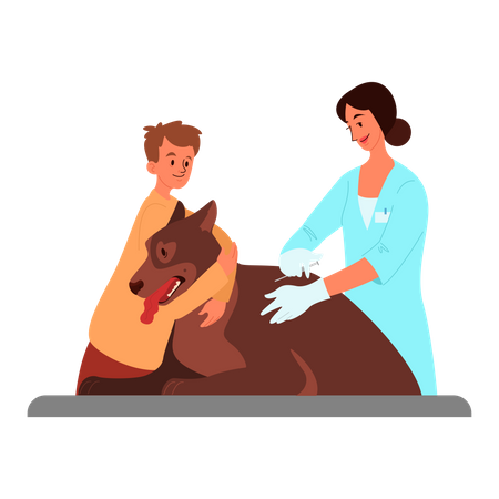 Médecin faisant la vaccination des animaux de compagnie  Illustration