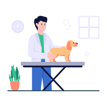 Médecin pour animaux de compagnie  Illustration
