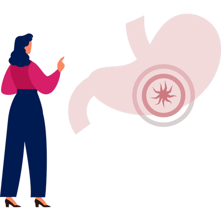 Médecin présentant un estomac humain  Illustration