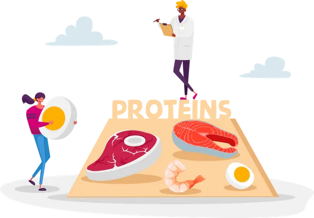 Médecin suggérant des aliments riches en protéines  Illustration