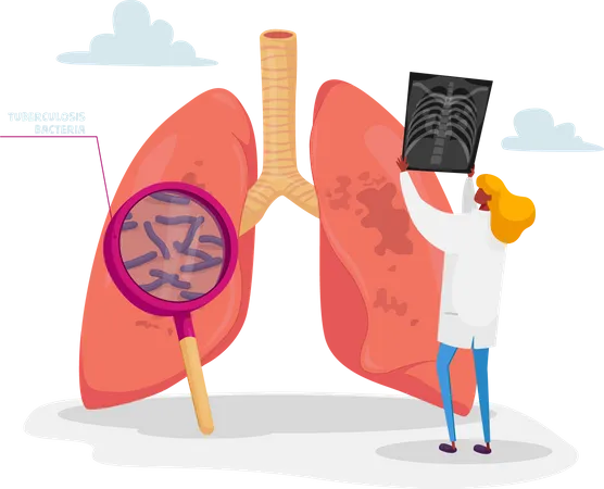 Médecin détenant une image radiographique des poumons apprenant la fluorographie d'un patient atteint de tuberculose ou de pneumonie  Illustration