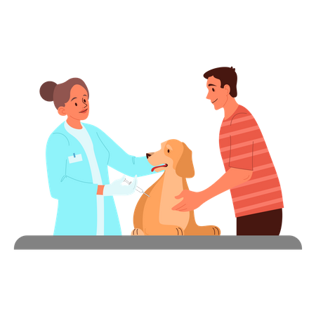 Médecin vétérinaire donnant le vaccin à un chien  Illustration