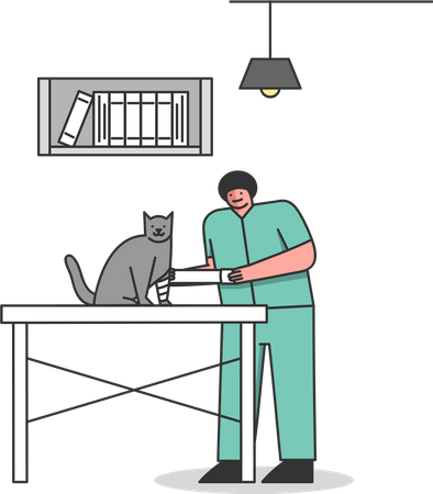 Médecin vétérinaire traitant un chat blessé  Illustration
