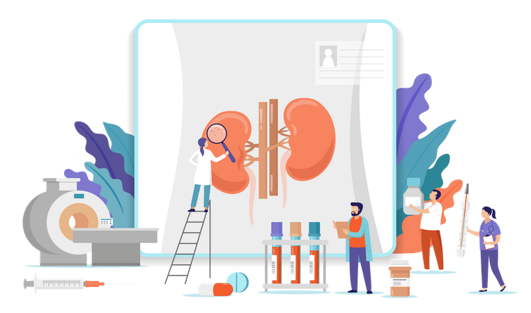 Medical research team doing research on human kidney  Illustration