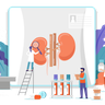 kidney images free download