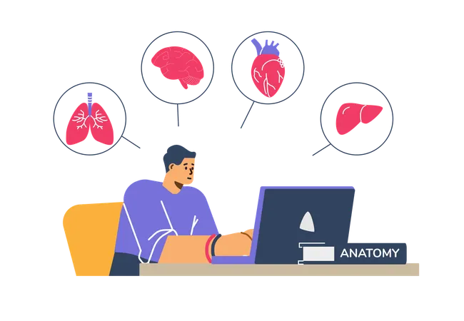 Medical student studying medicine online  Illustration