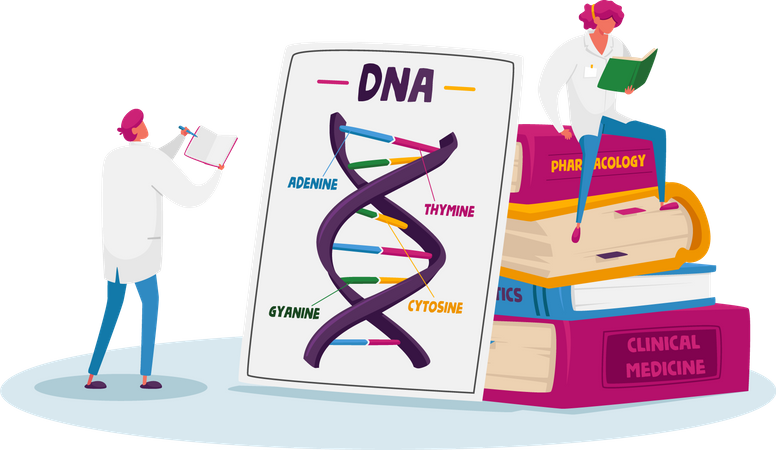 Medical Students Prepare for Genetics Structure Exam  Illustration