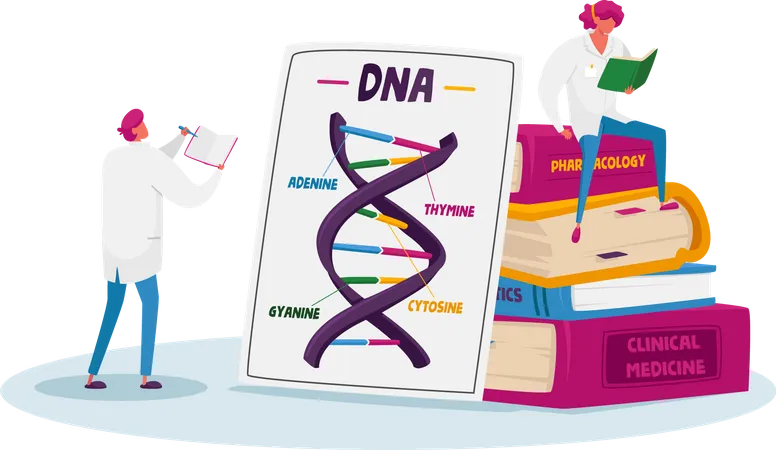 Medical Students Prepare for Genetics Structure Exam  Illustration