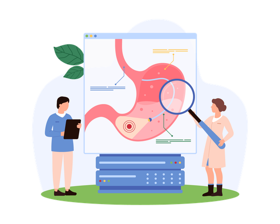 消化器系の解剖を分析する医療チーム  イラスト