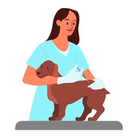 Médico dando vacina em cachorro de estimação  Ilustração