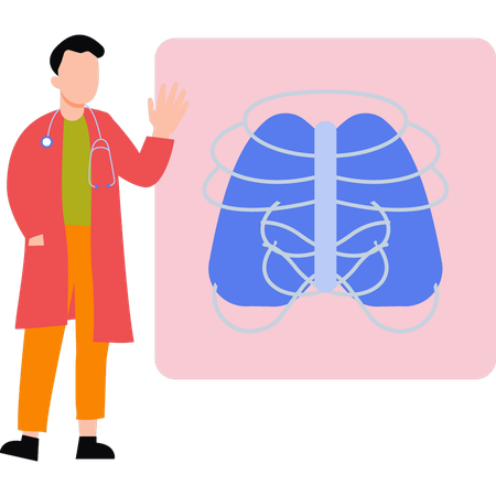 O médico está olhando para a caixa torácica  Ilustração