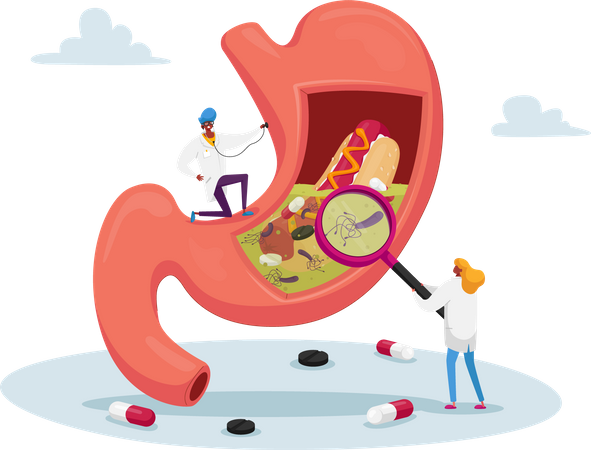 Médico estuda causas de dor de estômago, gastrite e doença por Helicobacter  Illustration