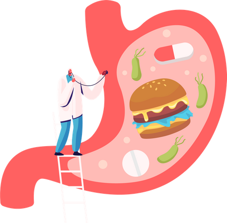 Médico estuda causas de dor de estômago, gastrite e doença por Helicobacter  Illustration