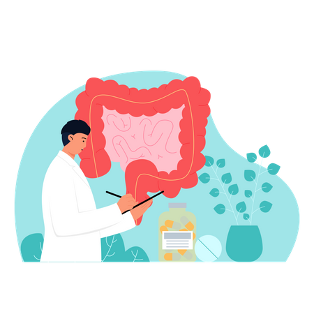 Gastroenterologista examinando relatório do intestino  Ilustração